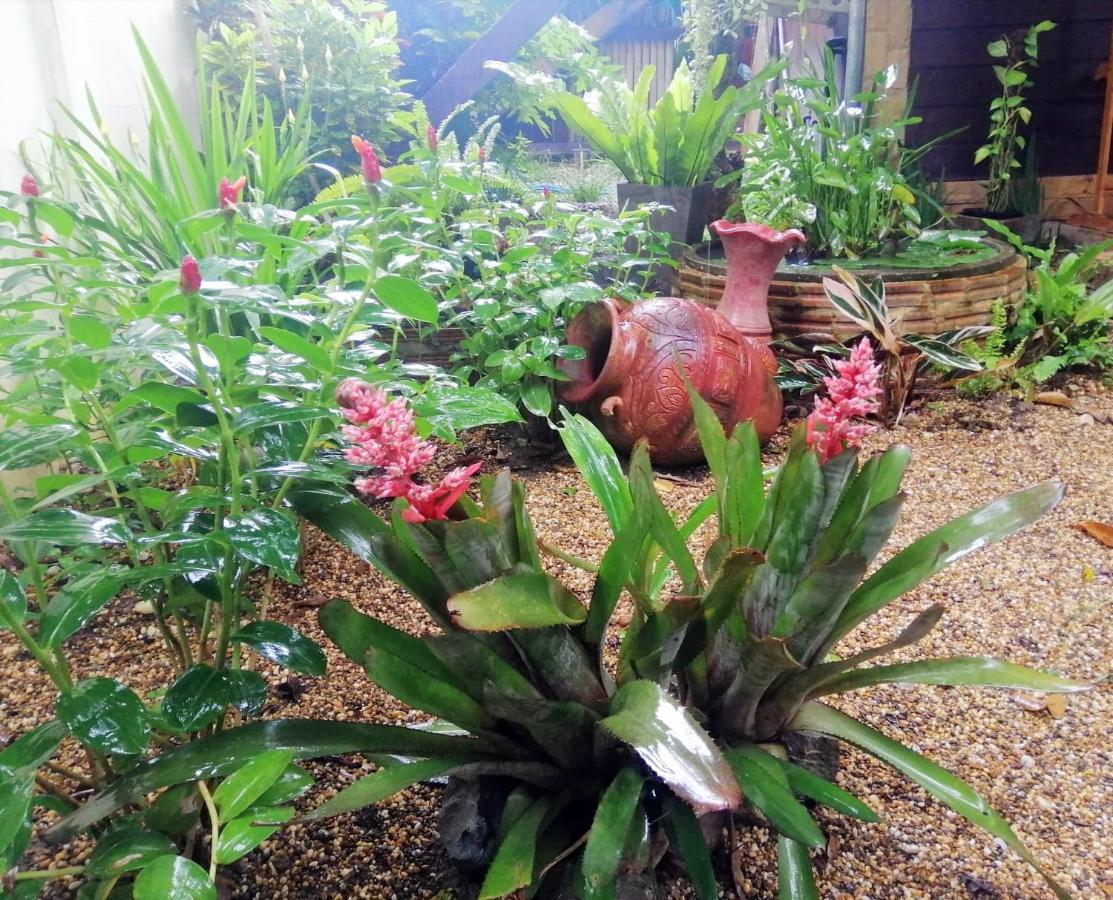 Homestay Chiangrai Chiang Rai Exterior foto