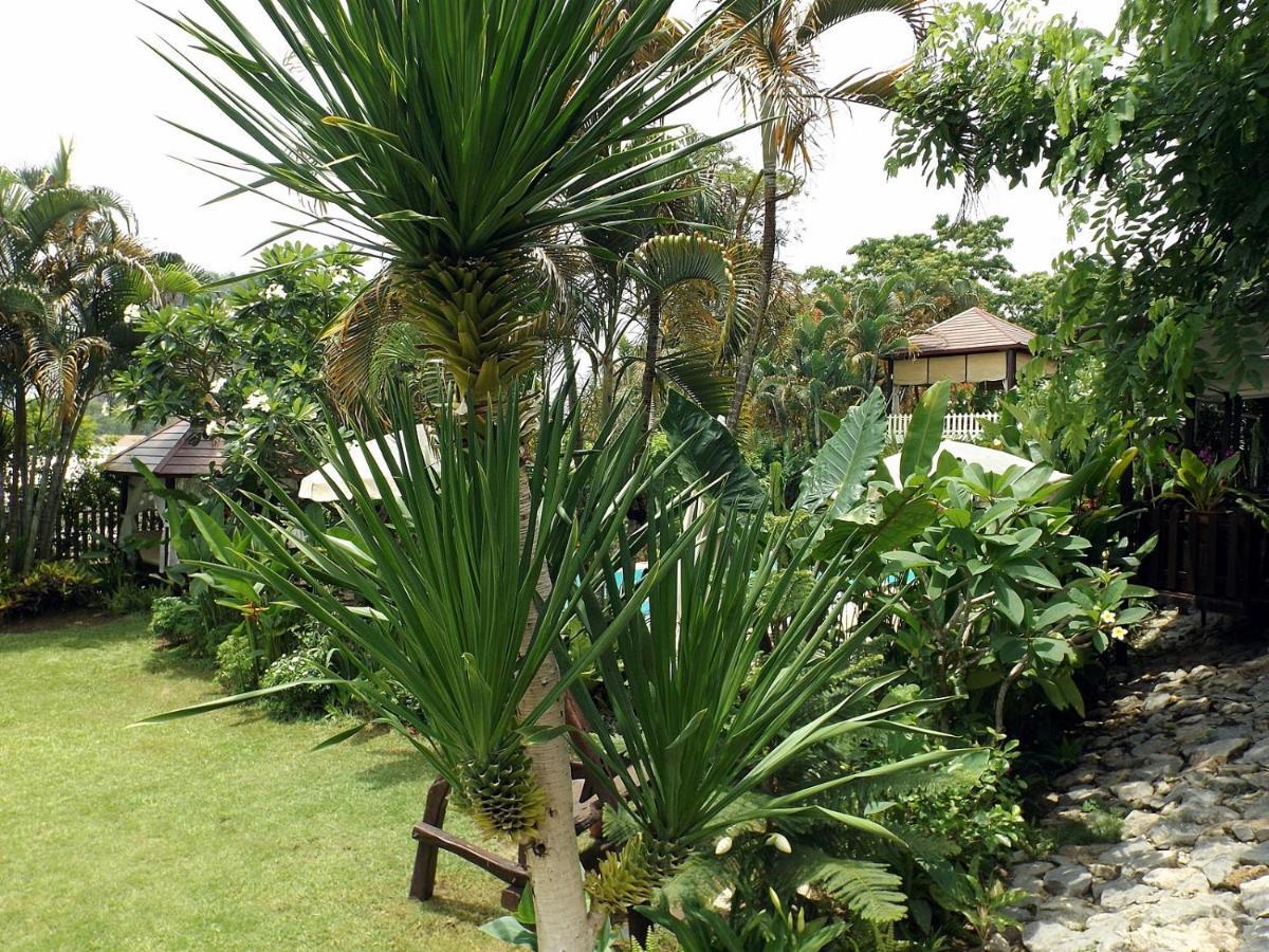 Homestay Chiangrai Chiang Rai Exterior foto